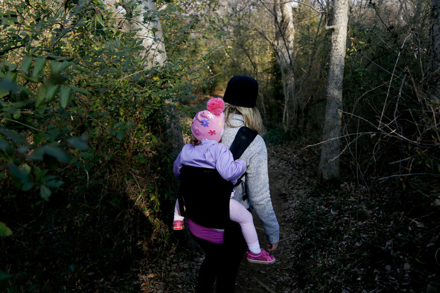Turkey Mountain